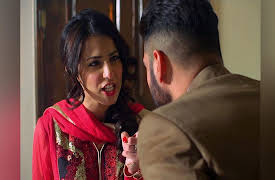 Bashar Momin: Episode 12