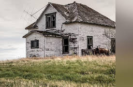 Discovering Your Roots: An Introduction to Genealogy: Searching in Your Ancestors' Backyards