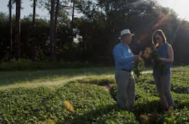 Rotten: The Peanut Problem