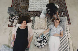 Mascotas estrellas: Fiesta animal