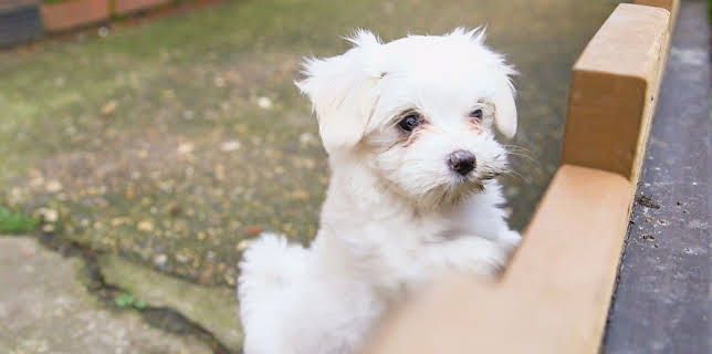 12:05 AM: Rogue Claimers (S1 E10) (S1) | Channel 5 | 2/25 2026