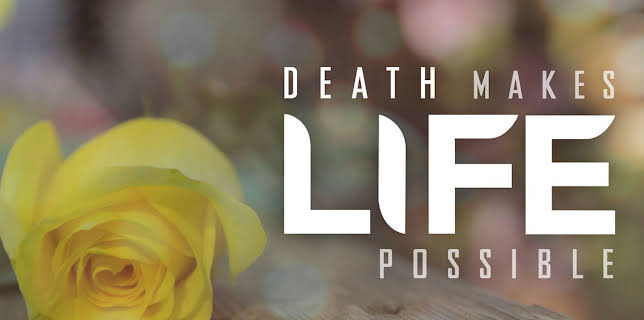 Death Makes Life Possible (2013)