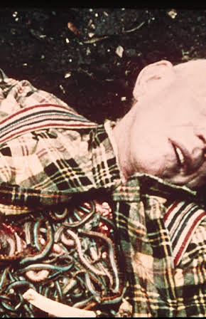 Carl Dagenhart as Willie Grimes