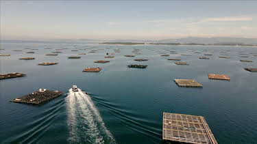 16:15: Maritimes Erbe (5/6) | 3SAT | 4/23 2026