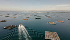 Maritimes Erbe: Galiciens Küste