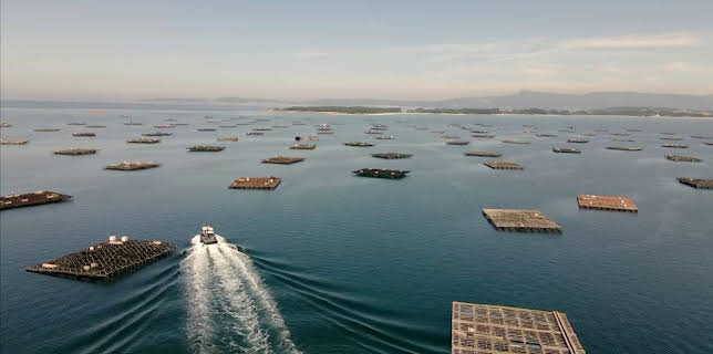 13:08: Maritimes Erbe (5/6) | 3SAT | 1/5 2026