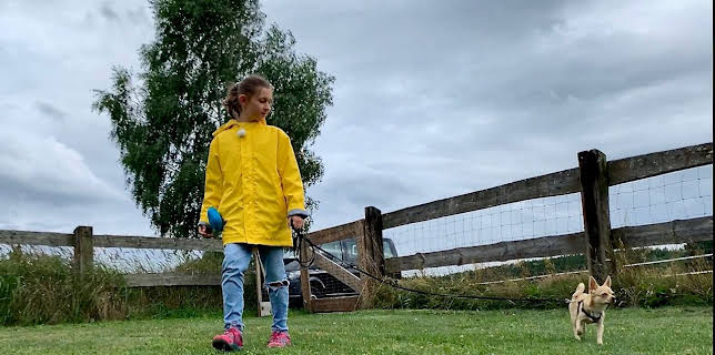 06:05: Liebste Fellnasen – Abenteuer Hundeschule | Das Erste | 1/17 2026