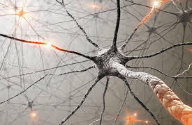 Your Deceptive Mind: A Scientific Guide to Critical Thinking Skills: Critical Thinking and Science in Your Life