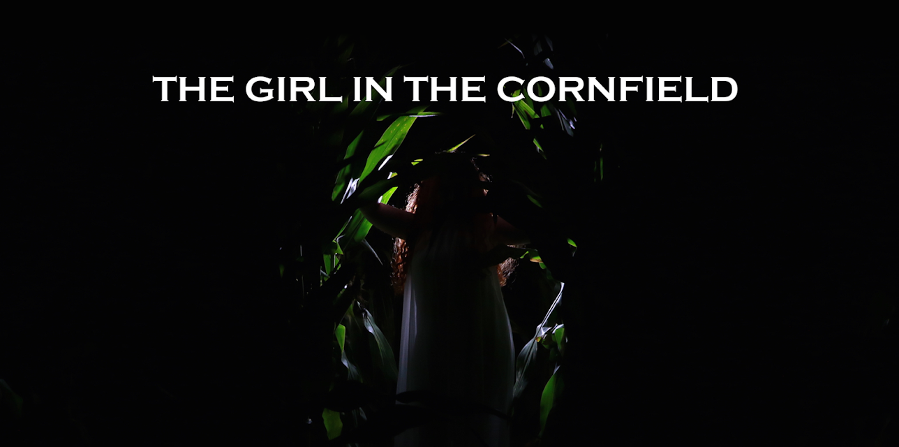 The Girl in the Cornfield (2016)