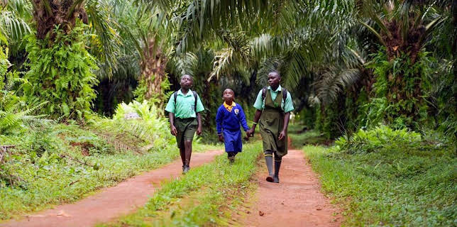 06:05: Die gefährlichsten Schulwege der Welt | Arte | 1/23 2026