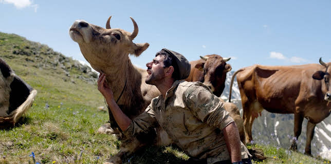 05:55: 360° Reportage | Arte | 3/24 2026