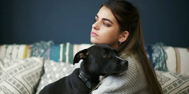 16:25: Hundehuset: Jess | NRK 2 | 1/16 2026