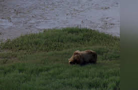 Aerial America Season One: Alaska's Call of the Wild