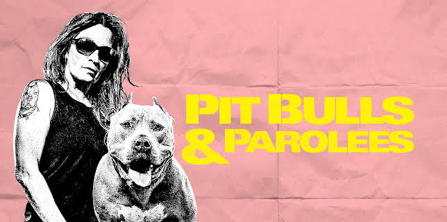 Pit Bulls & Parolees: Found a Forever Home