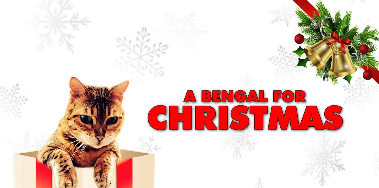 A Bengal For Christmas (2023)