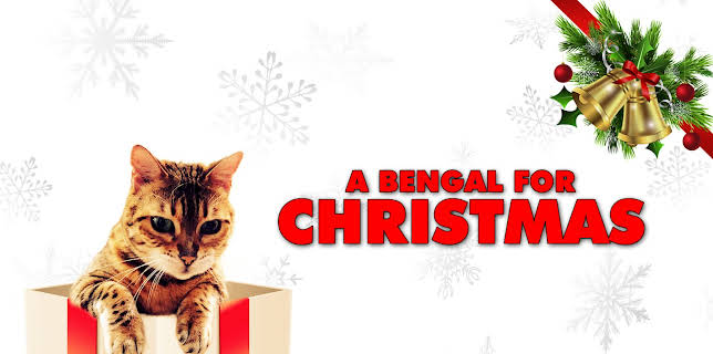A Bengal For Christmas (2023)