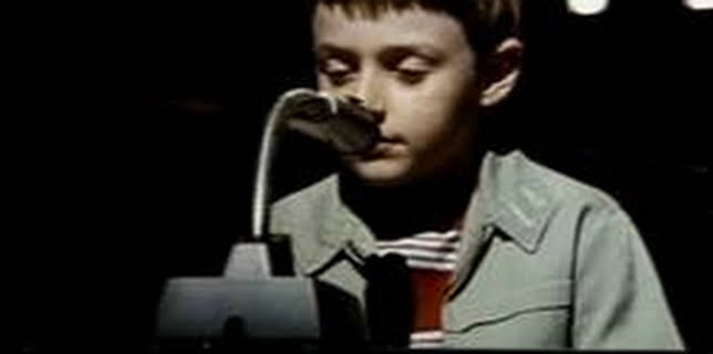 Little Man Tate (1991)