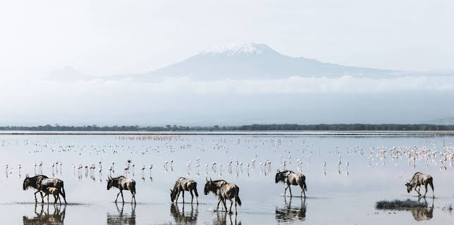 06:00: Afrikas Berge | SR Fernsehen | 3/21 2026