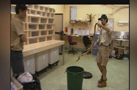 Crocodile Hunter Diaries: Living Dangerously