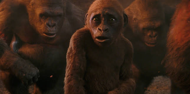 Suko: The Rise of Mini-Kong (2024)