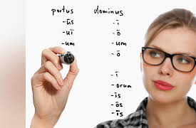 Latin 101: Learning a Classical Language: Introduction to Third-Declension Nouns