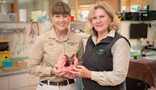 Crikey! It's the Irwins (S3 E1)