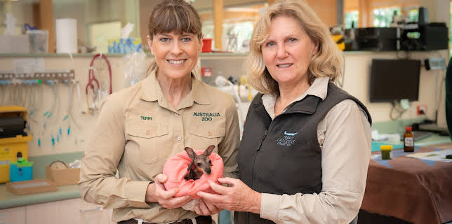 17:00: Crikey! It's the Irwins (S3 E1) (S3) | Animal Planet | 11/13 2025