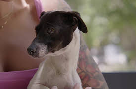 La loca de los perros season-1: La loca de los perros - Sonrisa