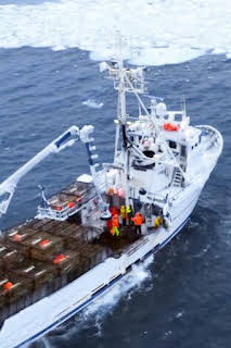 09:45: Pesca radical: Congelado | Discovery | 4/5 2026