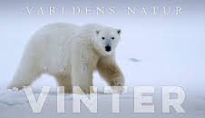 Världens natur: Vinter