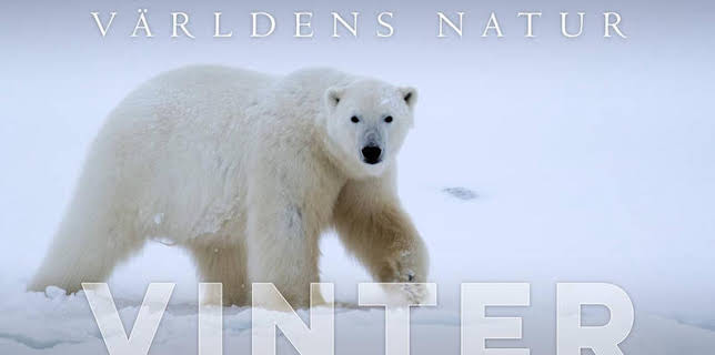 18:25: Världens natur: Vinter | Kunskapskanalen | 2/28 2026
