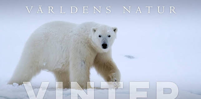 Världens natur: Vinter