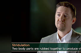 Why Insects Matter: Earth’s Most Essential Species: Insect Songs and Sounds