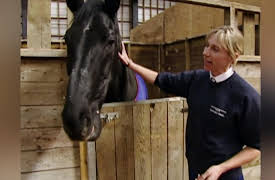 Mounted Branch: Off to Greener Pastures