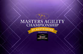The Masters Agility Championship at Westminster Season 13: THE MASTERS AGILITY CHAMPIONSHIP AT WESTMINSTER