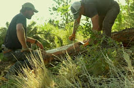 Reclaimed Season 1: Golden Cabin