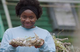 The A List: Att bli drottning