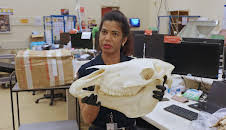 Border Patrol New Zealand