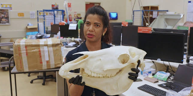 01:15: Border Patrol New Zealand | ProSieben Maxx | 12/15 2025