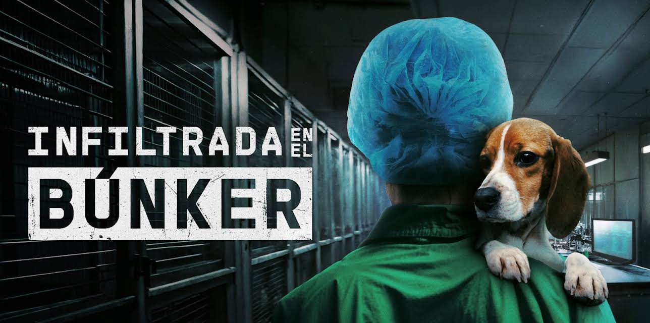 Undercover. Inside the bunker (2025)