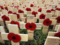 Royal British Legion Festival of Remembrance