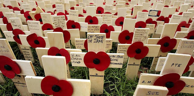 9:00 PM: Royal British Legion Festival of Remembrance | BBC One Wales | 11/8 2025