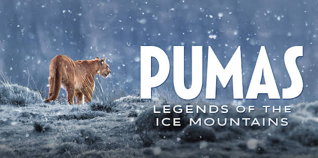 Pumas: Legends of the Ice Mountains (1982)