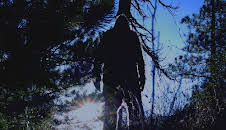 Unerklärliche Phänomene - Ancient Aliens