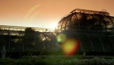 The A to Z of TV Gardening