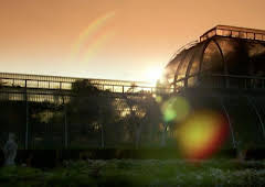 The A to Z of TV Gardening