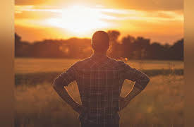 How to View and Appreciate Great Movies: We All Need Another Hero: Universal Stories