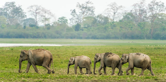 11:00: Brahmaputra - Der große Fluss vom Himalaya (2/3) | 3SAT | 1/6 2026