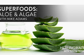 Healing Matrix: Superfoods: Aloe & Algae with Mike Adams