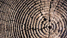 Lokalzeit Geschichten